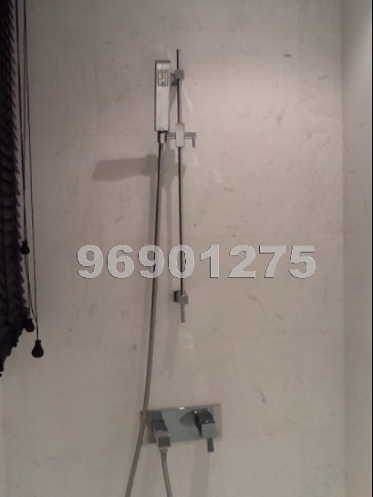 Suites At Orchard (D9), Condominium #778252